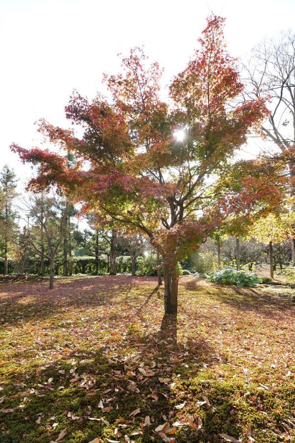 Вілла Japaning Senkyu Кіото Екстер'єр фото